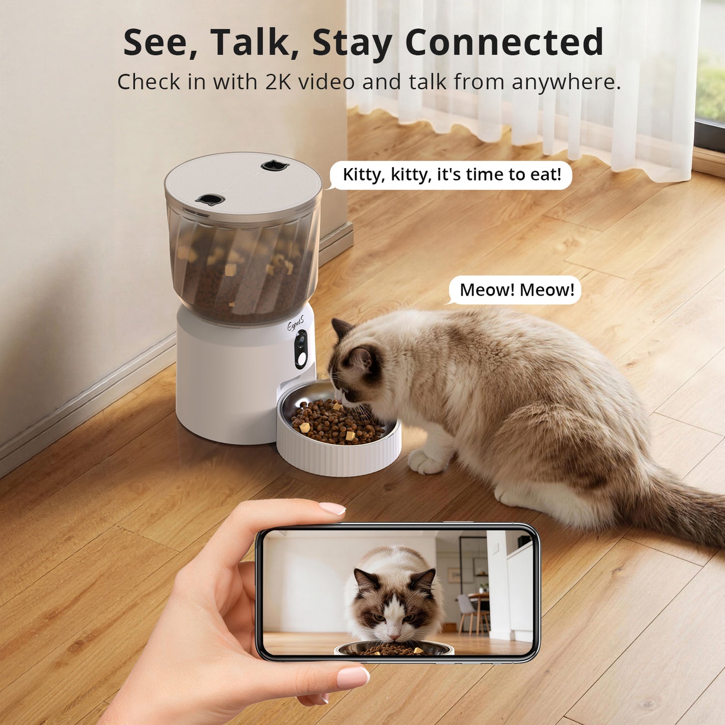 Automatic pet feeder with camera（Pet 3T）